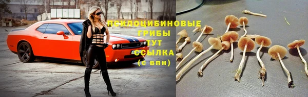экстази Армянск