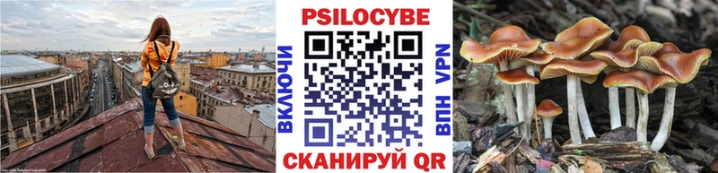 Галлюциногенные грибы Psilocybe  Касимов 